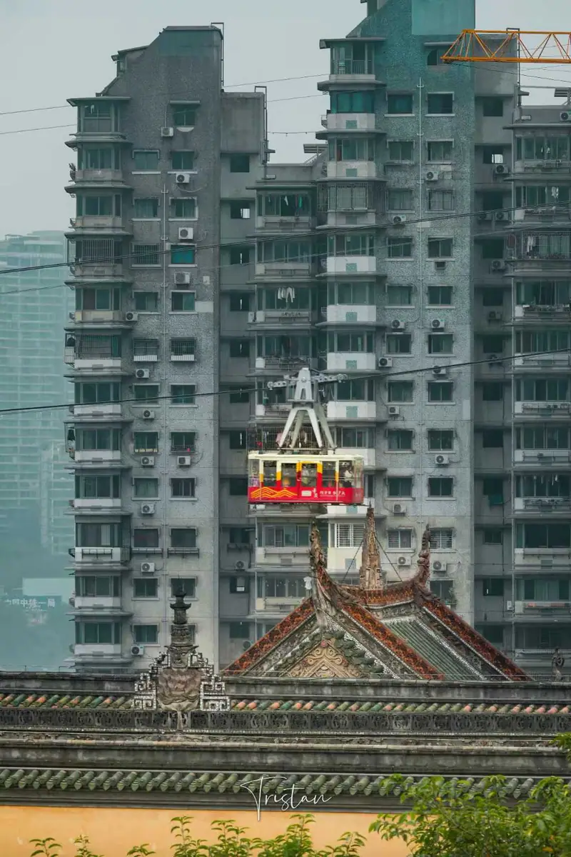 摄影 24